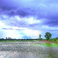ThậtTaỞNơiNào