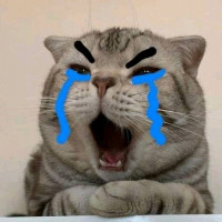  Mèoo Bá Chủ