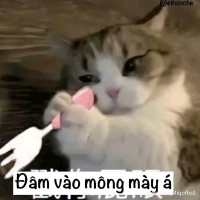 Công Tước Ánh Sáng