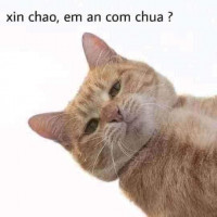 Binhhhhff